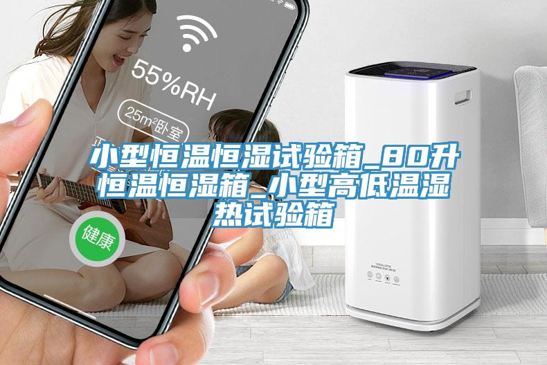 小型恒温恒湿试验箱_80升恒温恒湿箱_小型高低温湿热试验箱