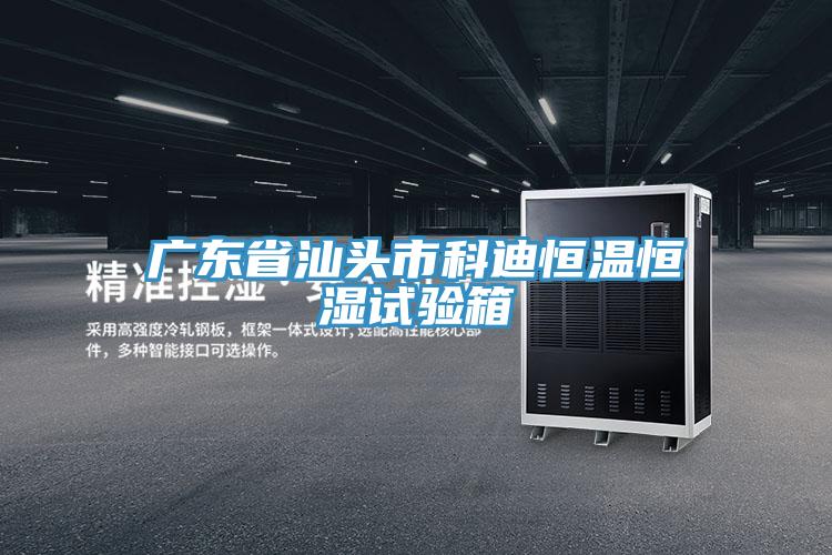 广东省汕头市科迪恒温恒湿试验箱