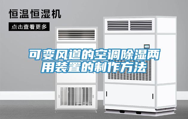 可变风道的空调除湿两用装置的制作方法