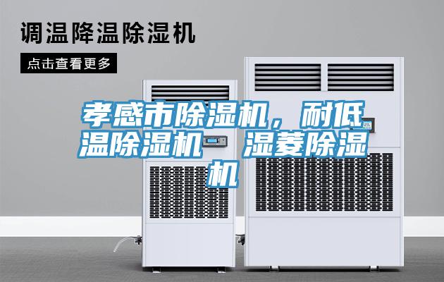 孝感市除湿机，耐低温除湿机  湿菱除湿机