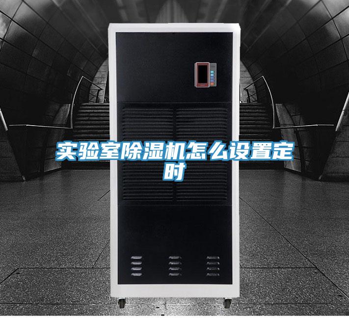 实验室除湿机怎么设置定时