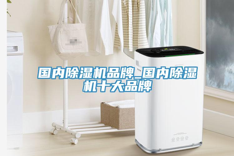 国内除湿机品牌_国内除湿机十大品牌