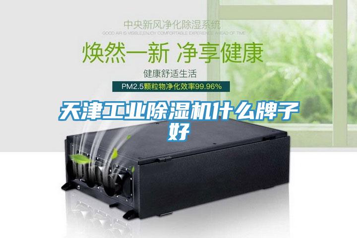 天津工业除湿机什么牌子好