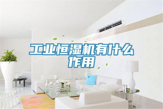 工业恒湿机有什么作用