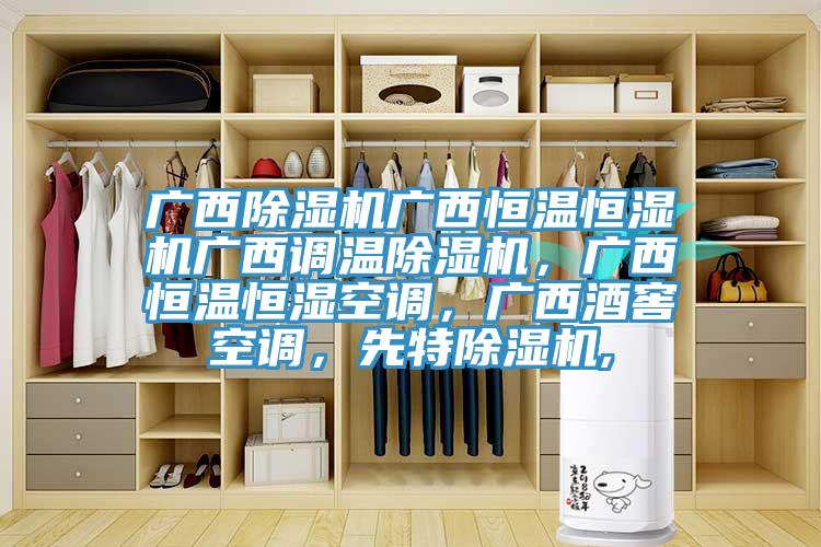 广西除湿机广西恒温恒湿机广西调温除湿机，广西恒温恒湿空调，广西酒窖空调，先特除湿机,