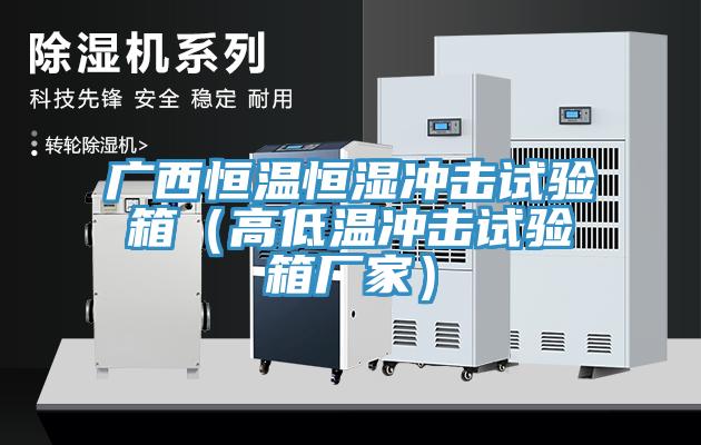 广西恒温恒湿冲击试验箱（高低温冲击试验箱厂家）