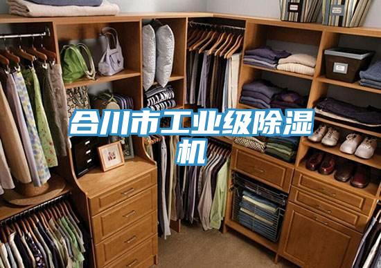合川市工业级除湿机