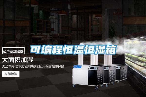 可编程恒温恒湿箱