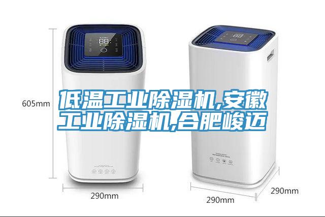 低温工业除湿机,安徽工业除湿机,合肥峻迈