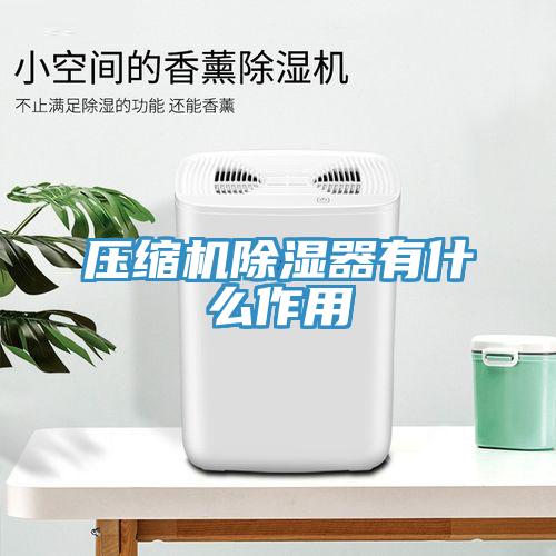 压缩机除湿器有什么作用
