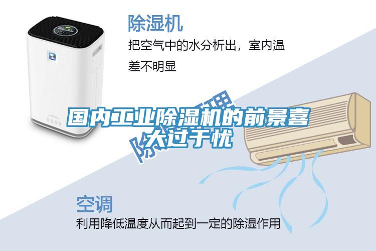 国内工业除湿机的前景喜大过于忧