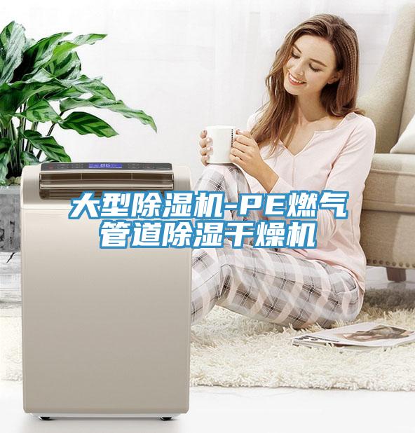 大型除湿机-PE燃气管道除湿干燥机