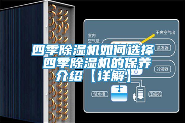 四季除湿机如何选择 四季除湿机的保养介绍【详解】