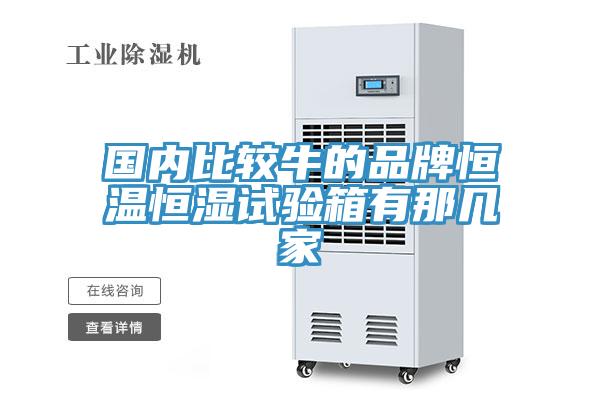国内比较牛的品牌恒温恒湿试验箱有那几家