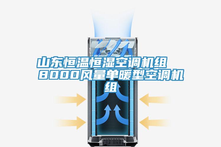 山东恒温恒湿空调机组  8000风量单暖型空调机组
