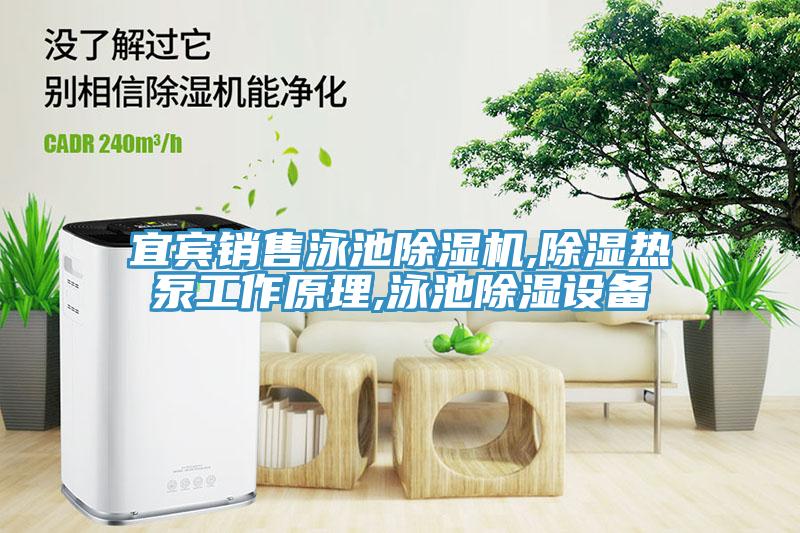 宜宾销售泳池除湿机,除湿热泵工作原理,泳池除湿设备