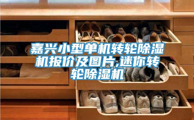 嘉兴小型单机转轮除湿机报价及图片,迷你转轮除湿机