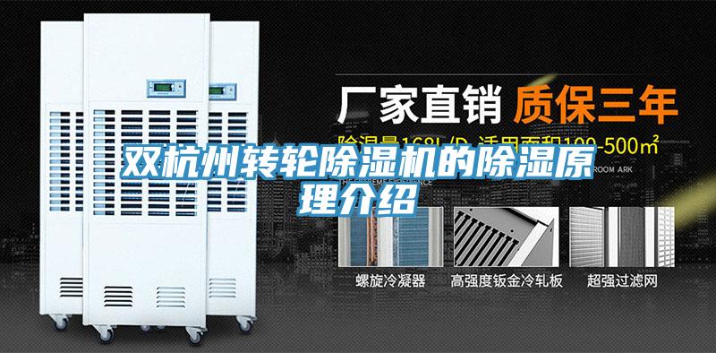 双杭州转轮除湿机的除湿原理介绍