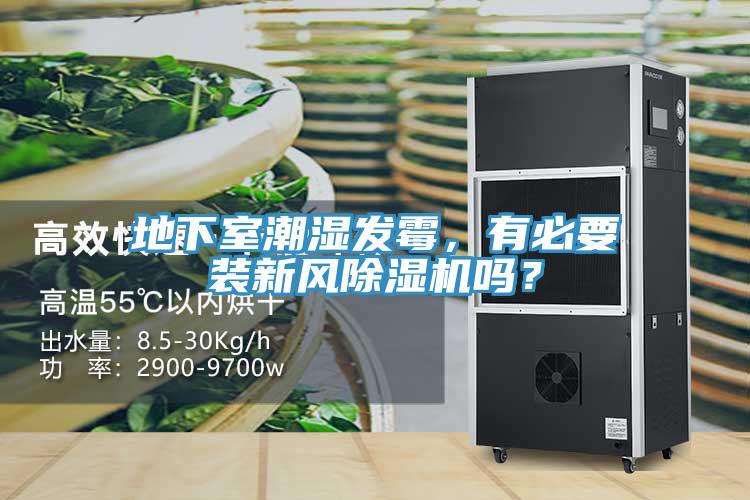 地下室潮湿发霉，有必要装新风除湿机吗？