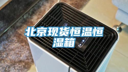 北京现货恒温恒湿箱
