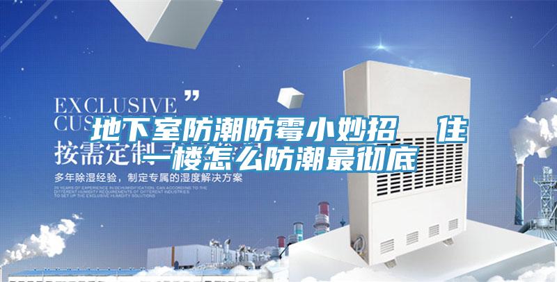 地下室防潮防霉小妙招  住一楼怎么防潮最彻底