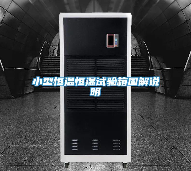 小型恒温恒湿试验箱图解说明