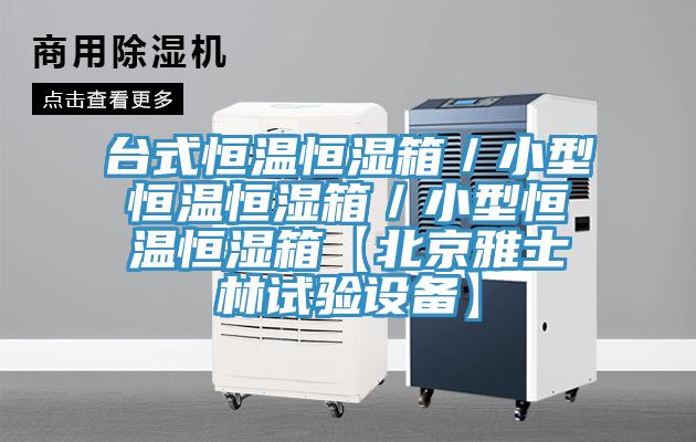 台式恒温恒湿箱／小型恒温恒湿箱／小型恒温恒湿箱【北京雅士林试验设备】