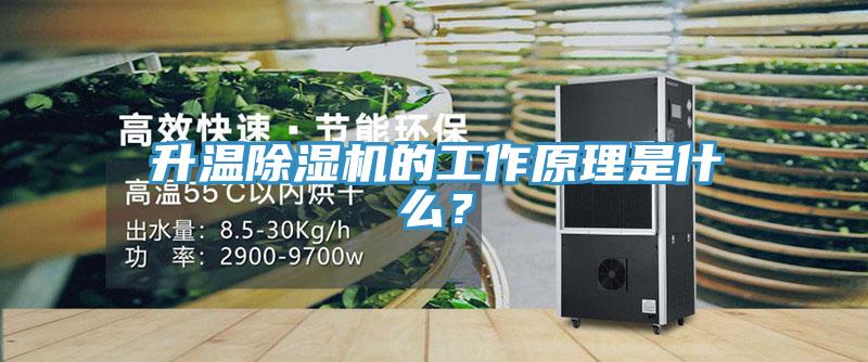 升温除湿机的工作原理是什么？
