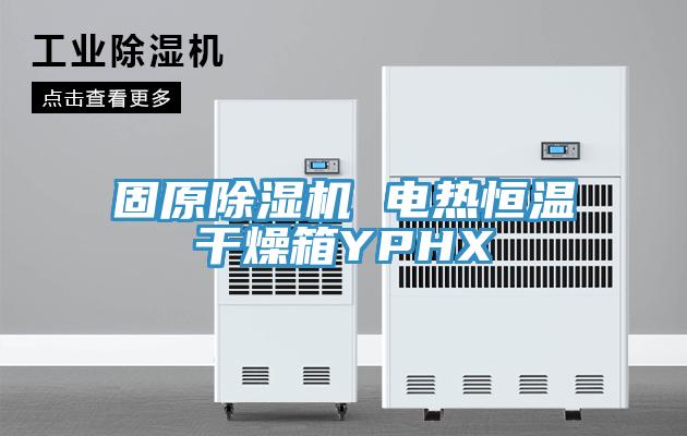 固原除湿机 电热恒温干燥箱YPHX
