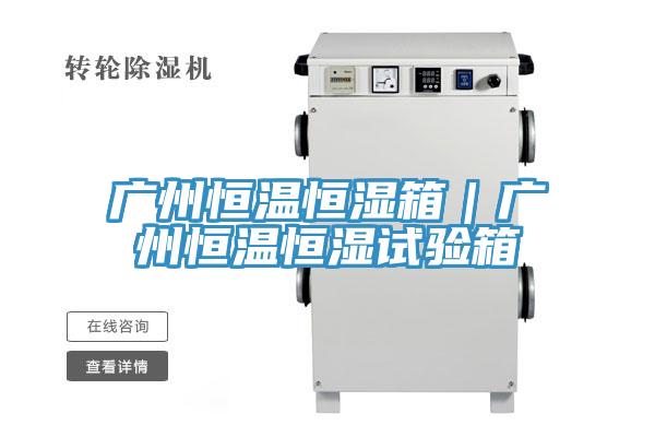 广州恒温恒湿箱｜广州恒温恒湿试验箱