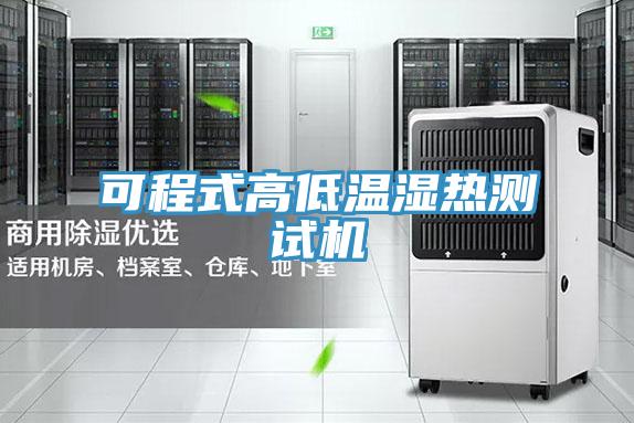 可程式高低温湿热测试机