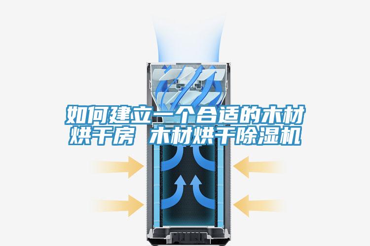 如何建立一个合适的木材烘干房 木材烘干除湿机