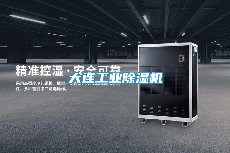 大连工业除湿机