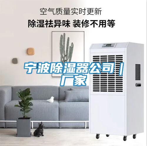 宁波除湿器公司｜厂家