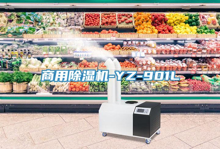商用除湿机-YZ-901L
