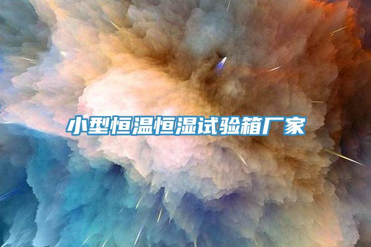小型恒温恒湿试验箱厂家
