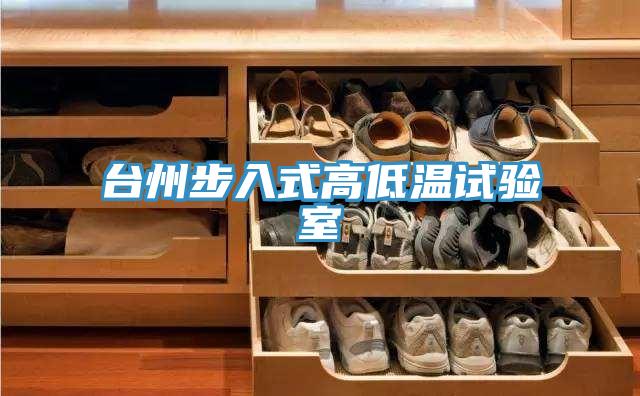 台州步入式高低温试验室