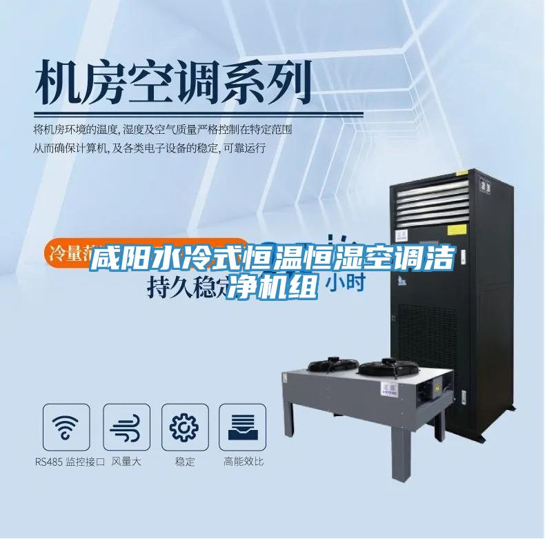 咸阳水冷式恒温恒湿空调洁净机组