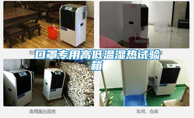 口罩专用高低温湿热试验箱