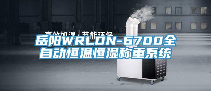 岳阳WRLDN-6700全自动恒温恒湿称重系统