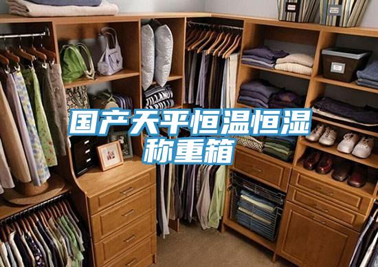 国产天平恒温恒湿称重箱