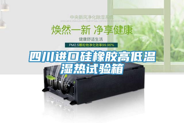 四川进口硅橡胶高低温湿热试验箱