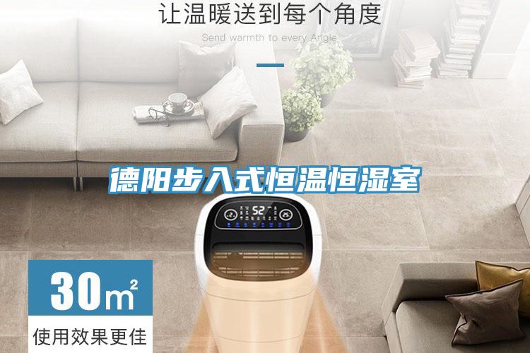 德阳步入式恒温恒湿室
