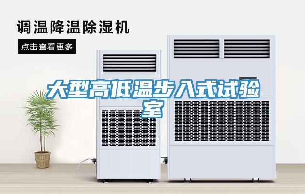 大型高低温步入式试验室