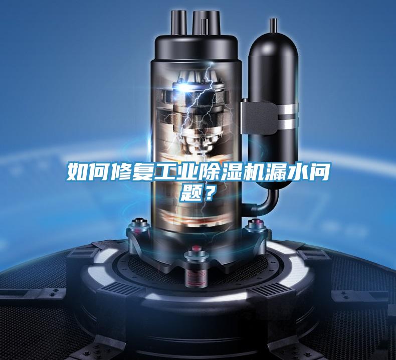 如何修复工业除湿机漏水问题？