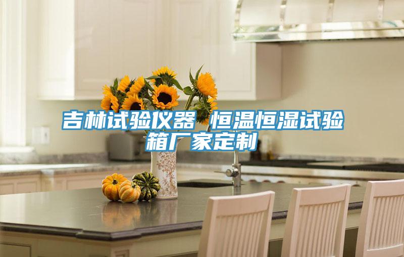 吉林试验仪器 恒温恒湿试验箱厂家定制