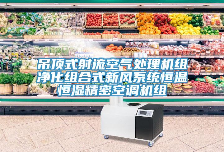 吊顶式射流空气处理机组净化组合式新风系统恒温恒湿精密空调机组