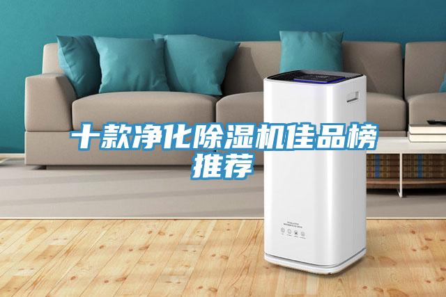 十款净化除湿机佳品榜推荐