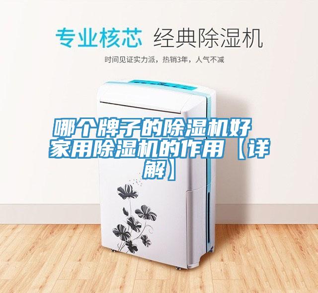 哪个牌子的除湿机好 家用除湿机的作用【详解】