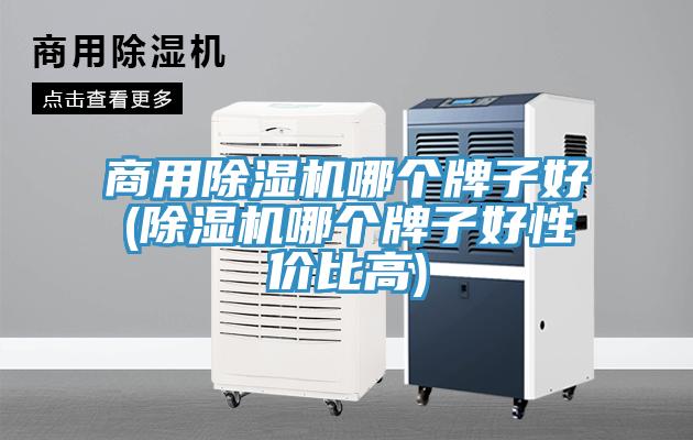 商用除湿机哪个牌子好(除湿机哪个牌子好性价比高)